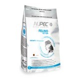 Nupec Kitten 1.