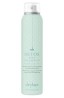 DETOX DRY SHAMPOO LUSH SCENT