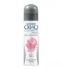 Garnier Caja Desodorante Obao Spray Piel Delicada 150M/12P-Despensa...