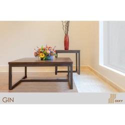 Mesa Central Gin Central
