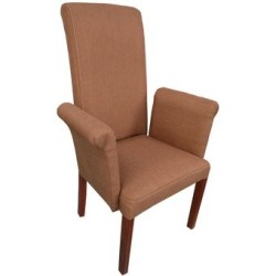Silla Moderna Agneta Fabou Muebles