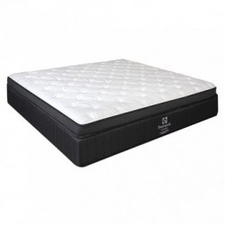 Colchon Socrates Sealy Matrimonial Dormimundo
