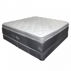Colchon Jgo. Windham Sealy Queen Size Dormimundo