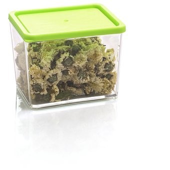 Recipiente de Almacenamiento para Alimentos-Transparente con Verde
