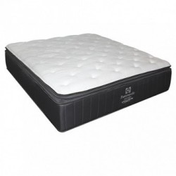 Colchon Aristoteles Sealy Queen Size Dormimundo