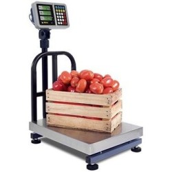 Bascula de Plataforma Rhino BP200