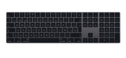 Apple Teclado Magic Keyboard con teclado numérico Gris Espacial