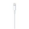 Cable Lightning Apple