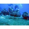 Buceo en Manzanillo